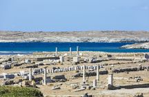 From Naxos/Paros: Delos & Mykonos Day Cruise with Expert Guide 