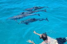 Be Your Own Captain Adventure in Bimini