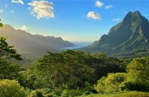  Moorea Cruise Ships: 4x4, Belvedere,Magic Mountain pineaple