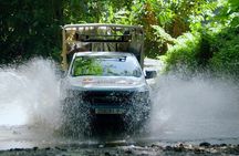  Moorea Cruise Ships: 4x4, Belvedere,Magic Mountain pineaple