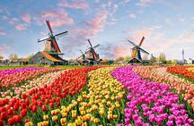 Private Keukenhof Gardens Tour From Amsterdam 