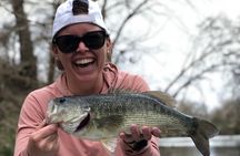 Full Day Guided Fishing Tour in Canyon Lake