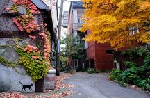 Montreal's Plateau Mont-Royal and Mile End Tour by MTL Detours