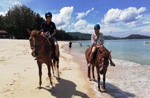 Beach Horse Riding Activity in Phuket