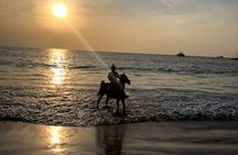 Beach Horse Riding At Sunset In Phuket