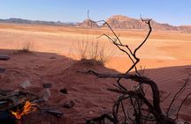 Full-Day Hiking in Wadi Rum's Desert with Lunch