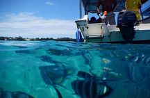 Eastern Treasures of Mauritius: incl Rhumerie St Aubin & Blue-Bay Marine Park