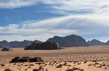 1 Day Camel tour with lunch