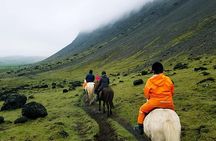 Horse Riding Tour in Reykjadalur (Smoky Valley)-All Riding Levels