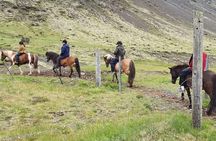 Horse Riding Tour in Reykjadalur (Smoky Valley)-All Riding Levels
