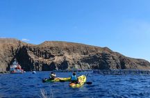 Guided Kayak Tour From Los Cristianos Beach Tenerife