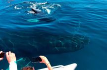 Samaná: waterfall El Limine & island Cayo Levantado