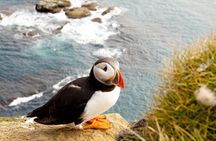 North East Coastal Trail Small Group Day Tour from Aberdeen