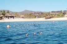 Santa Maria and Chileno Bay Snorkel Adventure Los Cabos 