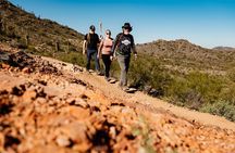 Sonoran Desert Solo Half Day Hike at Customizable Pace