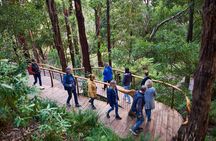 Dusk Discovery Tour