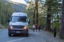 Full-Day Milford Sound Tour with Cruise and Walks from Te Anau