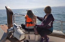 2 h Estepona Bay Tour