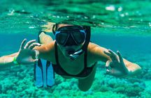 The Adventure East of Mauritius: 3-Watersport Activities & Blue-Bay Marine Park