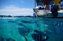 The beautiful East of Mauritius:incl Blue-Bay Marine Park, Crocodile park &Lunch