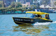 1 Hour adventure in the Nile River By Nile Taxi In Cairo 