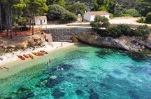 Kayak tour with aperitif and dolphins