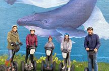 Sheboygan Arts & Water Segway Tour