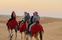 Camel Trekking in Dubai Desert with BBQ and Live Shows