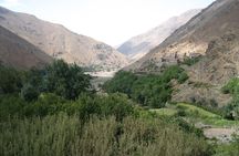From Agadir Hotel or Port : Paradise Valley Trip
