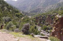 From Agadir Hotel or Port : Paradise Valley Trip