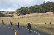 9am Haleakala Guided Downhill Tour 