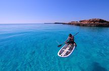 Cruises to Daymaniyat & Snorkeling