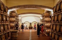 WINE TOUR with sommelier in a winery near Cagliari