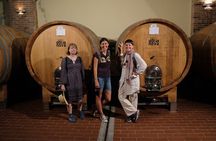 WINE TOUR with sommelier in a winery near Cagliari