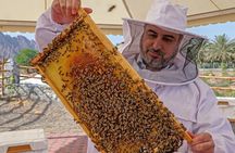 Hatta Mountain Tour, Hatta Dam, Heritage Village, Honeybee Garden