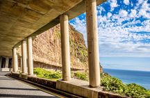 Half day Peninsula & Wine Combo tour