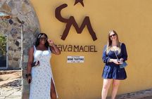 Premium Valle de Guadalupe Wine and Food Tour 