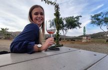 Premium Valle de Guadalupe Wine and Food Tour 