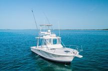 Private Island Hopping Boat Tour and view the Turtles