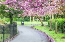 The Best of Dublin including Trinity College: Private Tour