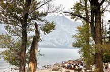 Private Sunset Wildlife Dinner Safari From Jackson WY