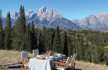 Private Sunset Wildlife Dinner Safari From Jackson WY