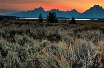 Private GTNP Sunset Wildlife Safari & Field Dinner From Jackson