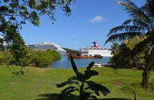 Private Group Island Tour