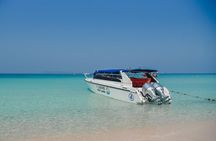 Premium Coral Island Pattaya by Speed boat