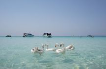Premium Coral Island Pattaya by Speed boat