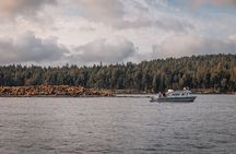 Nanaimo Whale Watching in a Semi-Covered Boat