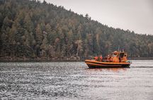 Whale Watching Nanaimo Open Boat Tour