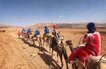 Best, Day trip to the Atlas Mountains, Camel ride, waterfalls, from Marrakech
