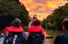 Wildlife Safari Boat Tenorio, Excellent bird watching tour